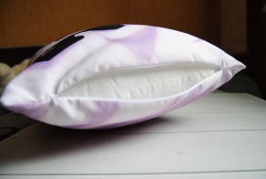 Buy a dakimakura pillowcase
