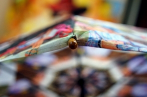 Custom photo umbrella