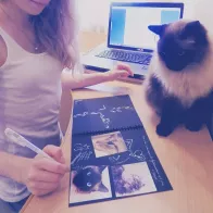 paper album for photos