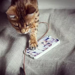 printing a photo on an iphone case
