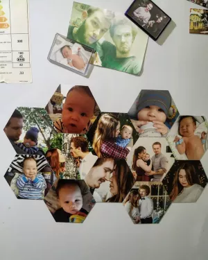 vinyl honeycomb magnets