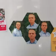 Pictures on the magnets in the form of a honeycomb