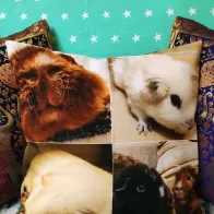 Pillow with photos of pets as a keepsake