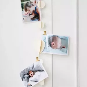 Where can I order prints of photos 10*15