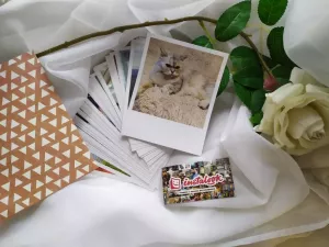 order photo cards on high quality metallic paper