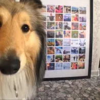 Poster from Instagram photos