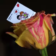 Rose with a chocolate bar from the Love is set