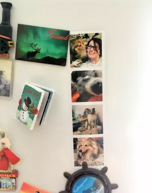 Print photos through the photo booth