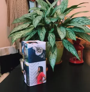 A gift for your sweetheart on the first anniversary of your 