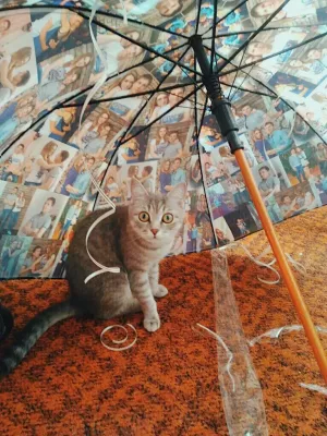 printing photos on umbrellas