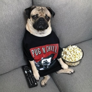 What to do on a weekend?