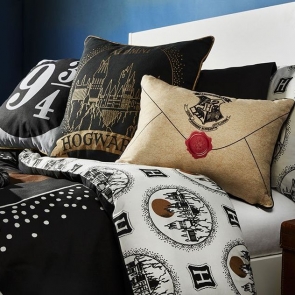 Best ideas of gifts for Harry Potter fan